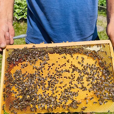 Graefl Major Ketutkoez Poroszló
