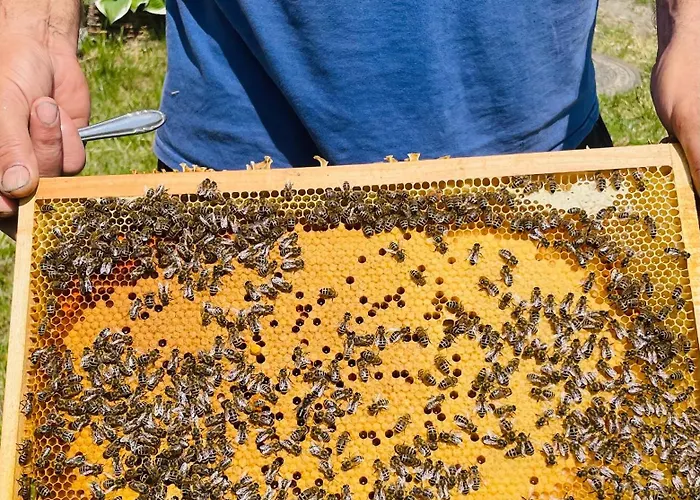 Graefl Major Ketutkoez Poroszló
